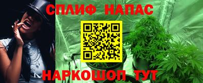 ГАЛЛЮЦИНОГЕННЫЕ ГРИБЫ Ставрополь