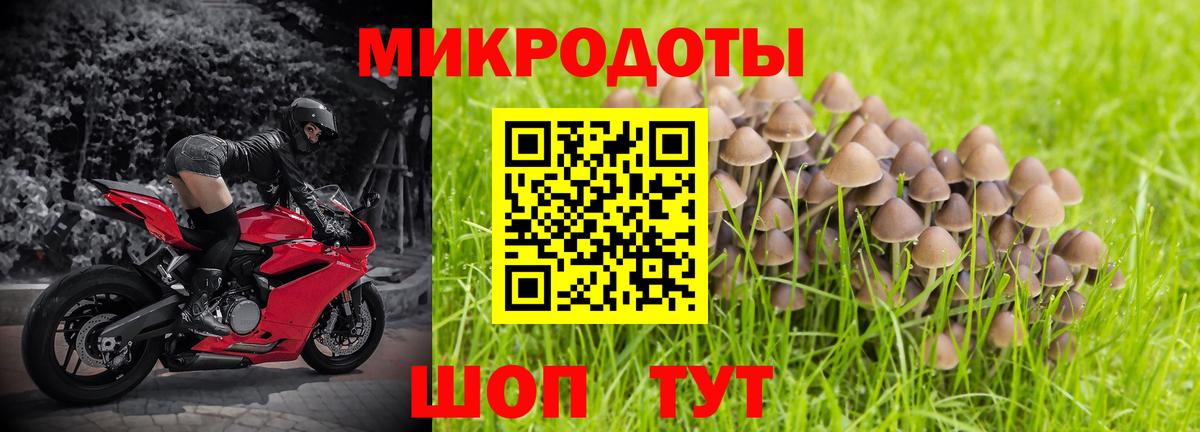 Галлюциногенные грибы прущие грибы  Вход с VPN  Реутов 